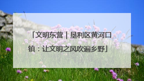 文明东营｜垦利区黄河口镇：让文明之风吹遍乡野