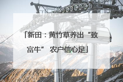 新田：黄竹草养出“致富牛” 农户信心足