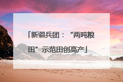 新疆兵团：“两吨粮田”示范田创高产