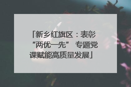 新乡红旗区：表彰 “两优一先” 专题党课赋能高质量发展