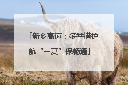 新乡高速：多举措护航“三夏”保畅通