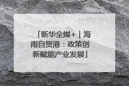 新华全媒+｜海南自贸港：政策创新赋能产业发展
