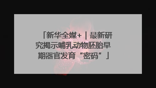 新华全媒+｜最新研究揭示哺乳动物胚胎早期器官发育“密码”