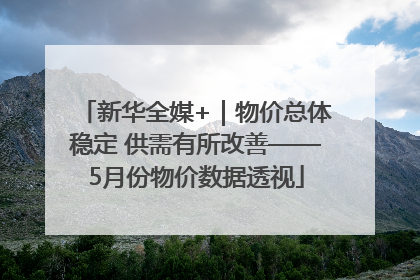 新华全媒+｜物价总体稳定 供需有所改善——5月份物价数据透视