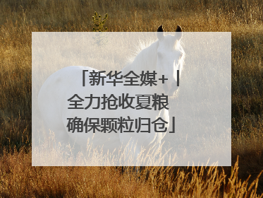新华全媒+丨全力抢收夏粮 确保颗粒归仓