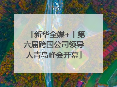 新华全媒+丨第六届跨国公司领导人青岛峰会开幕