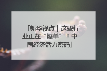 新华视点｜这些行业正在“爆单”！中国经济活力密码