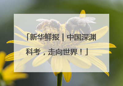 新华鲜报｜中国深渊科考，走向世界！