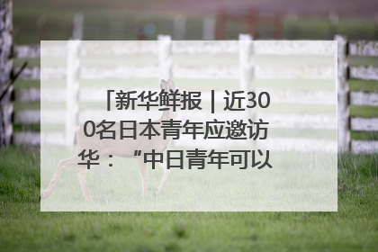新华鲜报｜近300名日本青年应邀访华：“中日青年可以创造更好的未来”
