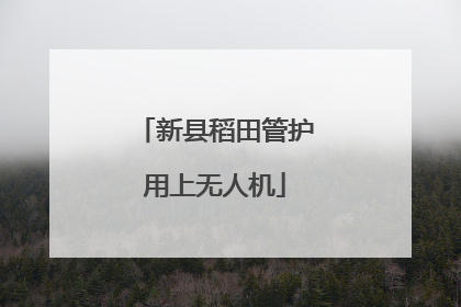 新县稻田管护用上无人机