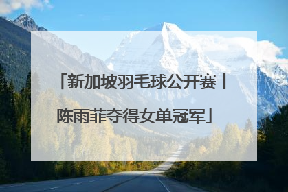 新加坡羽毛球公开赛丨陈雨菲夺得女单冠军