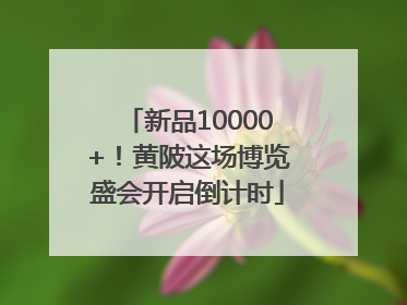 新品10000+！黄陂这场博览盛会开启倒计时