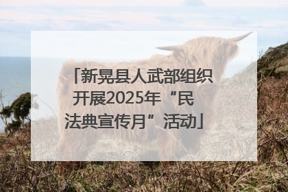 新晃县人武部组织开展2025年“民法典宣传月”活动