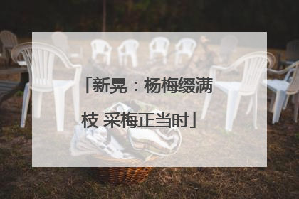 新晃：杨梅缀满枝 采梅正当时