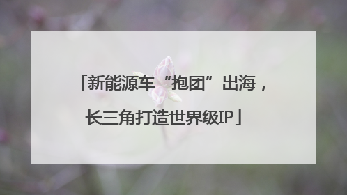 新能源车“抱团”出海，长三角打造世界级IP