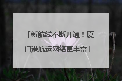 新航线不断开通！厦门港航运网络更丰富