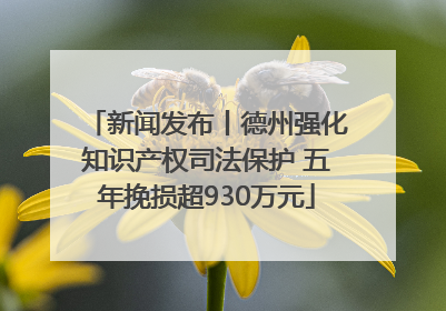 新闻发布丨德州强化知识产权司法保护 五年挽损超930万元
