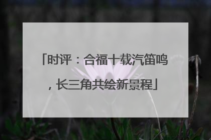 时评：合福十载汽笛鸣，长三角共绘新景程