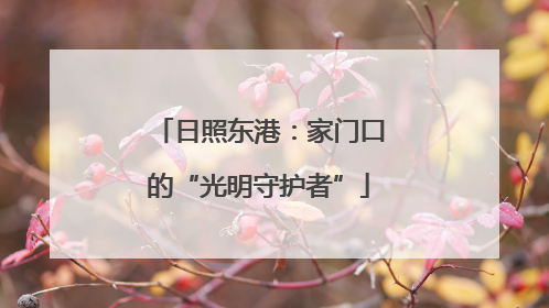 日照东港：家门口的“光明守护者”