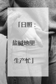 日照：盐碱地里生产忙