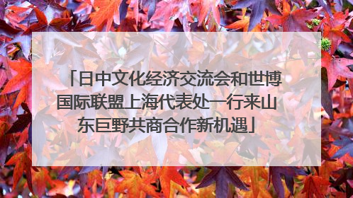 日中文化经济交流会和世博国际联盟上海代表处一行来山东巨野共商合作新机遇