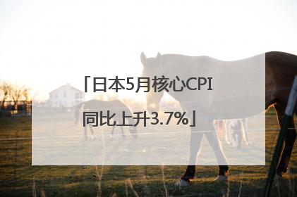 日本5月核心CPI同比上升3.7%