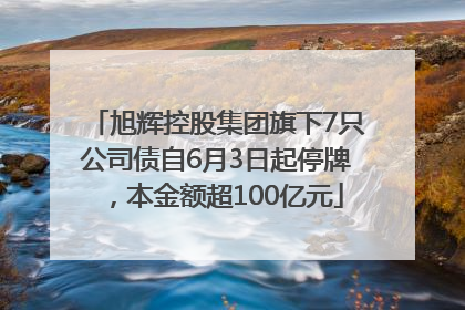 旭辉控股集团旗下7只公司债自6月3日起停牌，本金额超100亿元