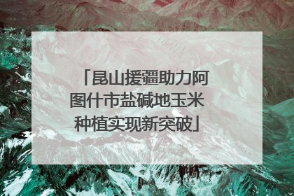 昆山援疆助力阿图什市盐碱地玉米种植实现新突破