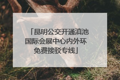 昆明公交开通滇池国际会展中心内外环免费接驳专线