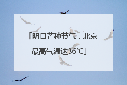 明日芒种节气，北京最高气温达36℃