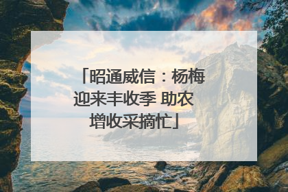 昭通威信：杨梅迎来丰收季 助农增收采摘忙