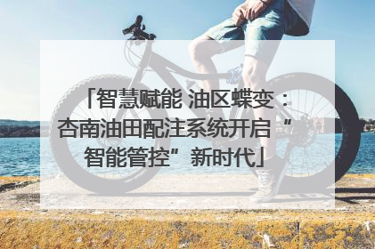 智慧赋能 油区蝶变：杏南油田配注系统开启“智能管控”新时代