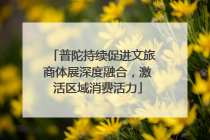 普陀持续促进文旅商体展深度融合，激活区域消费活力
