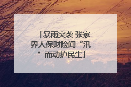 暴雨突袭 张家界人保财险闻“汛”而动护民生