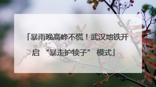 暴雨晚高峰不慌！武汉地铁开启 “暴走护犊子” 模式