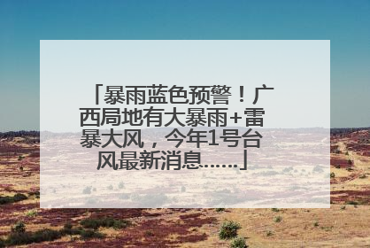 暴雨蓝色预警！广西局地有大暴雨+雷暴大风，今年1号台风最新消息……