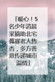 暖心！5名少年清晨采摘助北宅孤寡老人售杏，多方善意传递城市温情