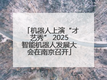 机器人上演“才艺秀” 2025智能机器人发展大会在南京召开