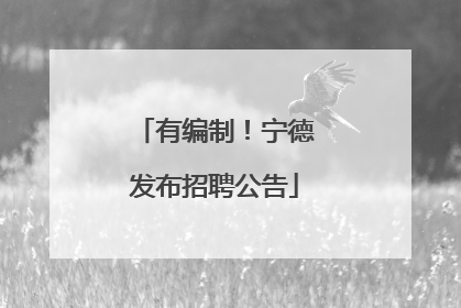 有编制！宁德发布招聘公告