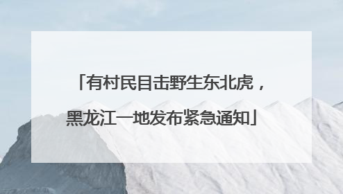 有村民目击野生东北虎，黑龙江一地发布紧急通知