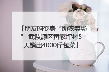 朋友圈变身“助农卖场” 武陵源区黄家坪村5天销出4000斤包菜
