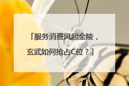 服务消费风起金陵，玄武如何抢占C位？