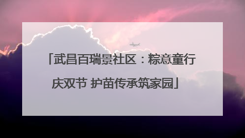 武昌百瑞景社区：粽意童行庆双节 护苗传承筑家园