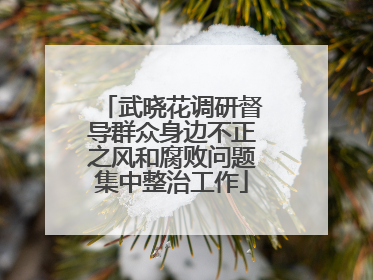 武晓花调研督导群众身边不正之风和腐败问题集中整治工作