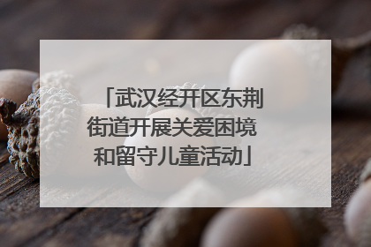 武汉经开区东荆街道开展关爱困境和留守儿童活动