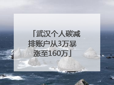 武汉个人碳减排账户从3万暴涨至160万