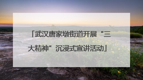 武汉唐家墩街道开展“三大精神”沉浸式宣讲活动