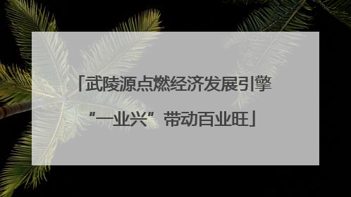 武陵源点燃经济发展引擎 “一业兴”带动百业旺
