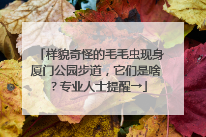 样貌奇怪的毛毛虫现身厦门公园步道，它们是啥？专业人士提醒→