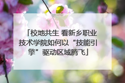 校地共生 看新乡职业技术学院如何以“技能引擎”驱动区域腾飞